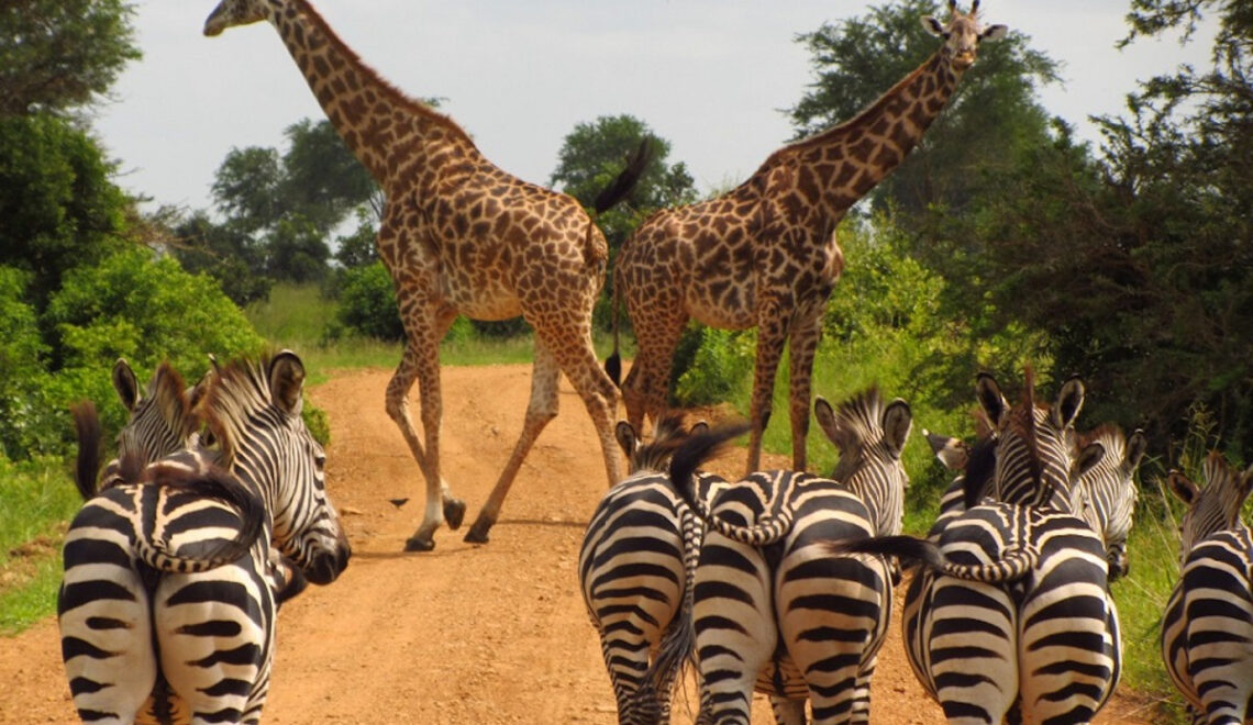 Séjour en Tanzanie