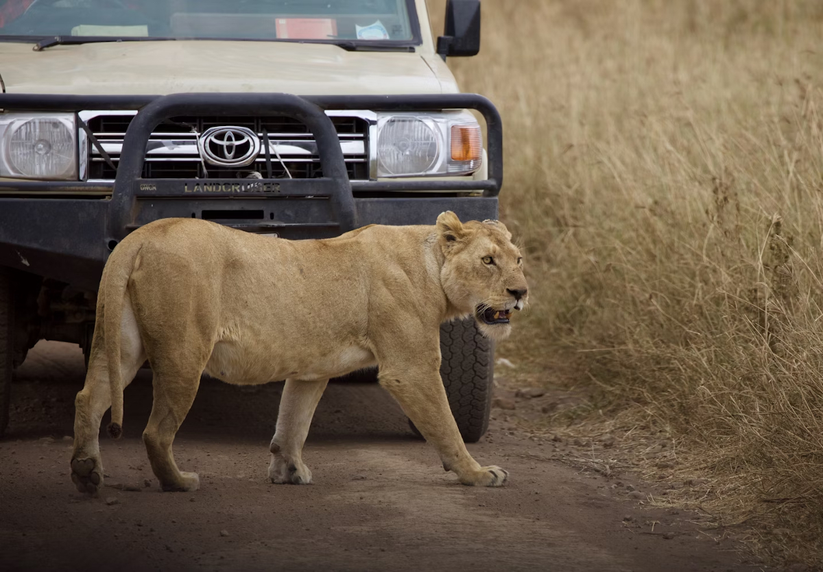 beaux endroits Tanzanie