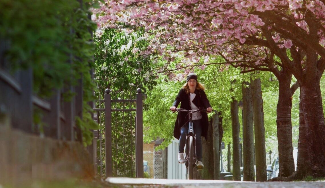 vélo électrique